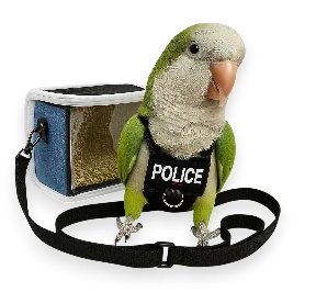 alt