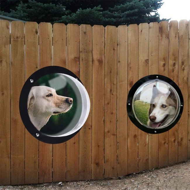 собачье окно в забор