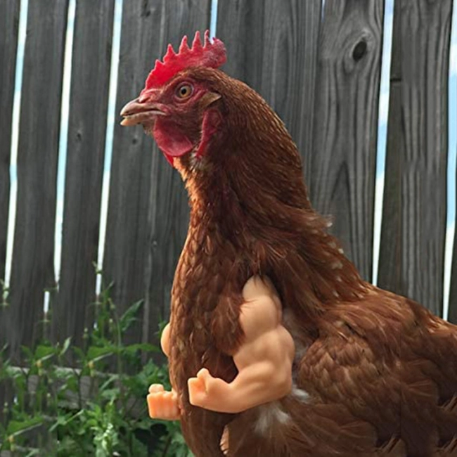 человеческие руки для курицы