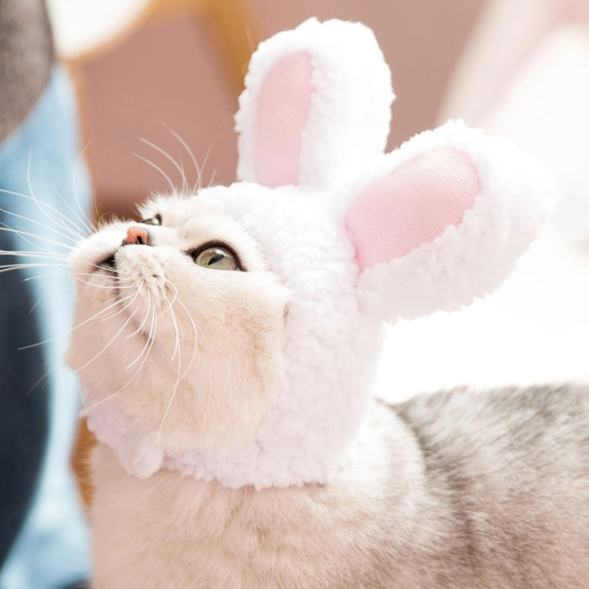 шапка для кота с ушками