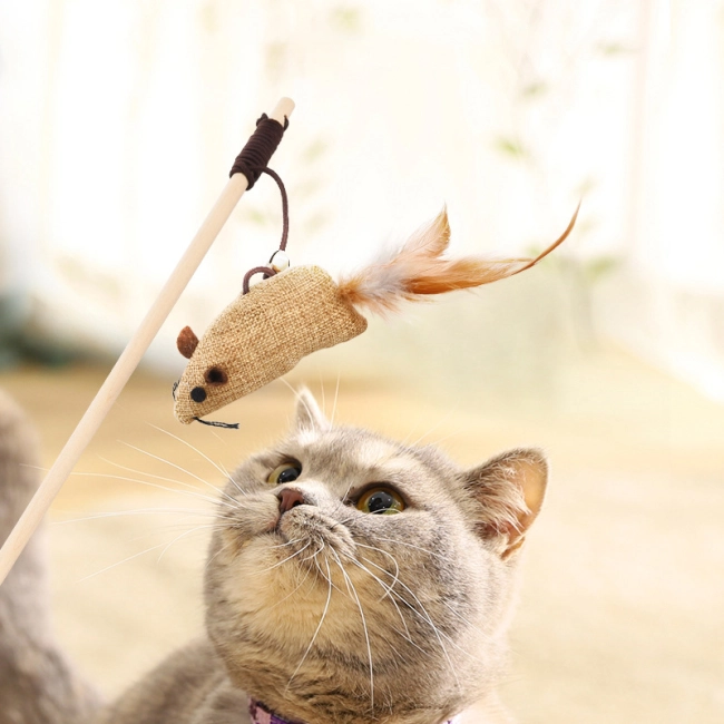 кошачий набор игрушек