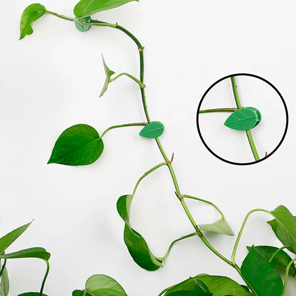 фиксаторы для вьющихся растений