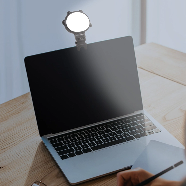 вспышка на камеру ноутбука