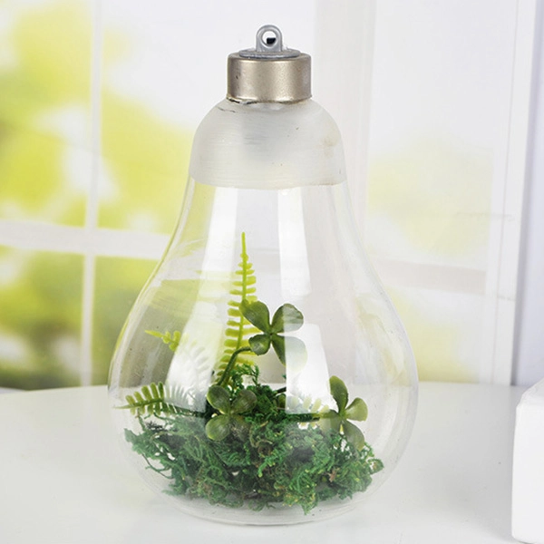 купить вазу для флорариума