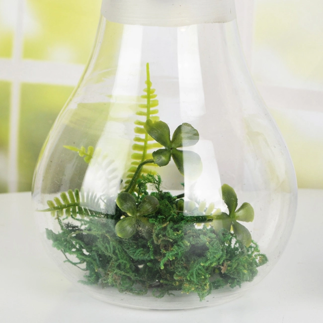 емкость для флорариума с подсветкой