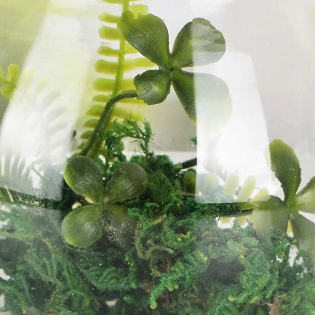 емкость под флорариум с подсветкой