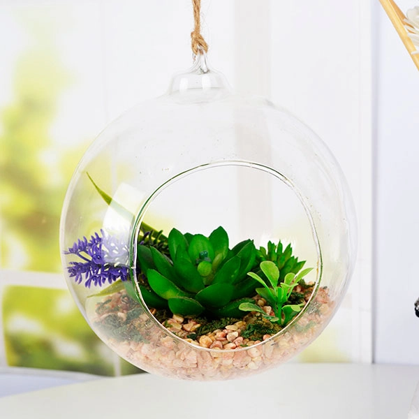 підвісний флораріум із рослинами