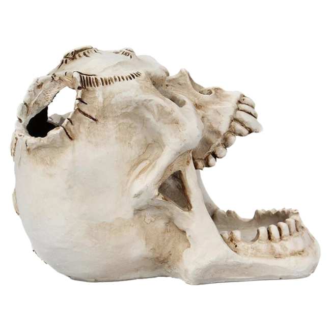 підставка для канцелярії з черепом