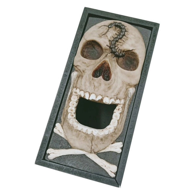 серветниця скелет