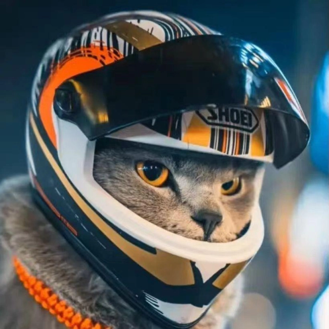 шлем для кошек