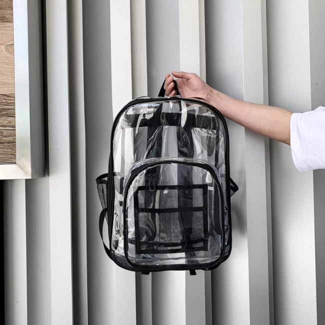 шкільний прозорий портфель