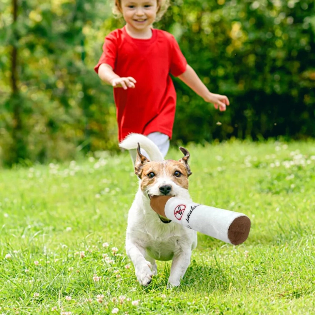 Купить игрушку сигарету