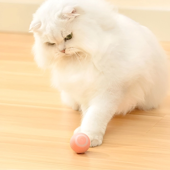 интерактивный мячик для кота