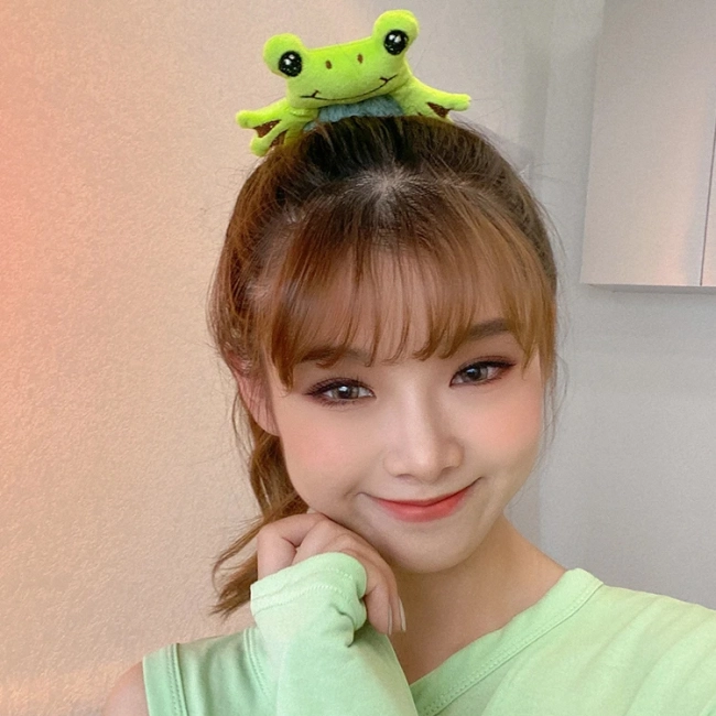 Резинка для волосся жаба