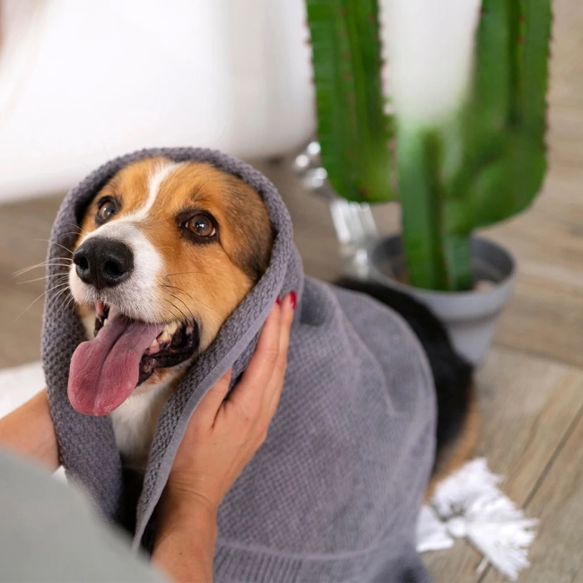 полотенце для домашних питомцев