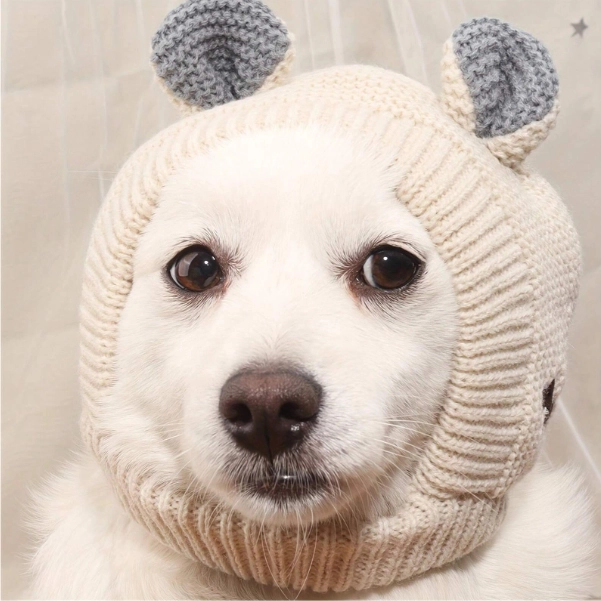 Собача балаклава