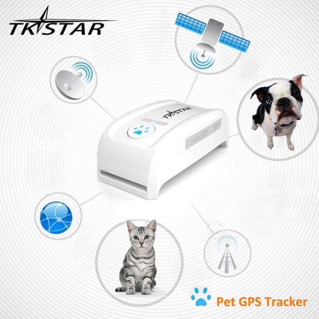 gps маяк для тварин