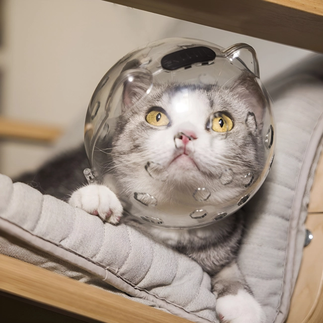Шлем от укусов кота