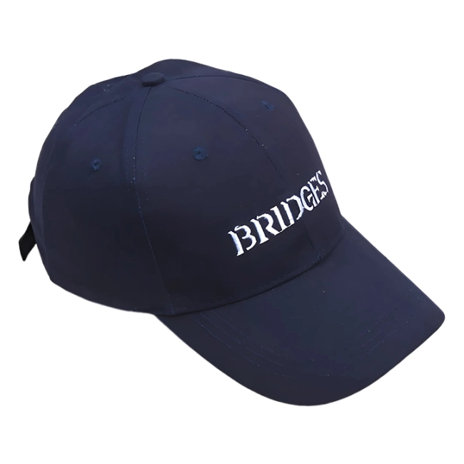 Купить кепку Bridges