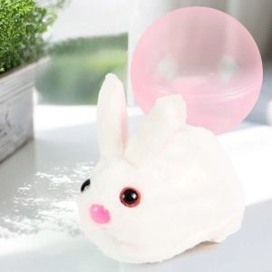 игрушка в шаре для кота