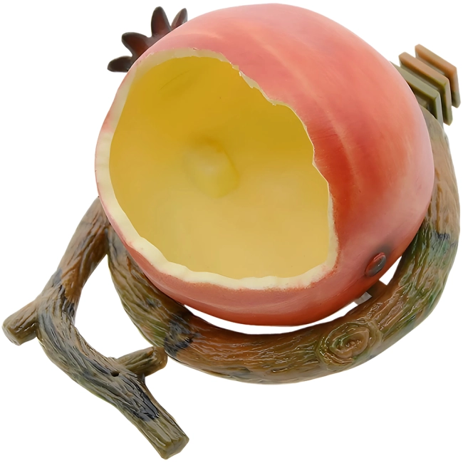 кормушка в виде фрукта