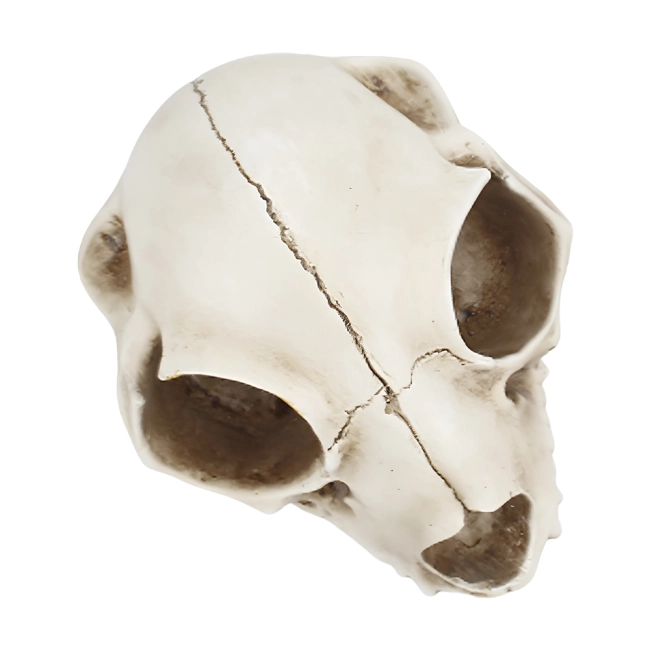 Купить подставку под специи