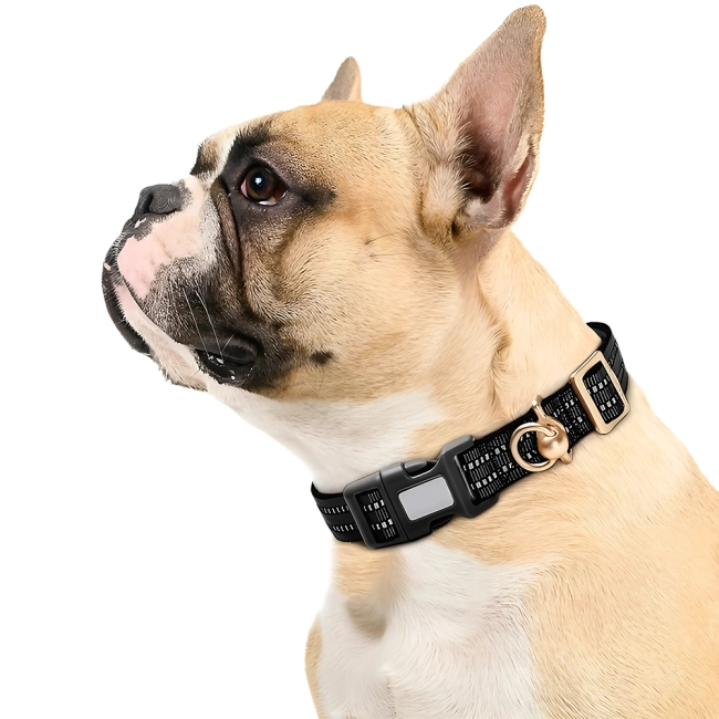 ошейник-трекер для собак