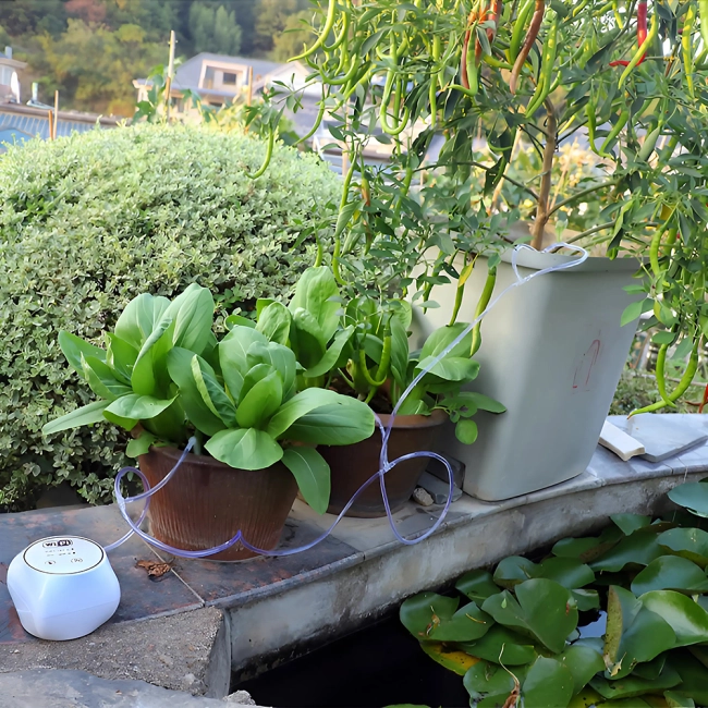 система дистанційного поливу