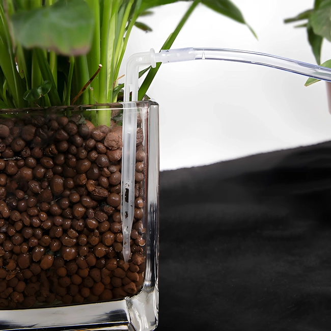 система для краплинного зрошення рослин