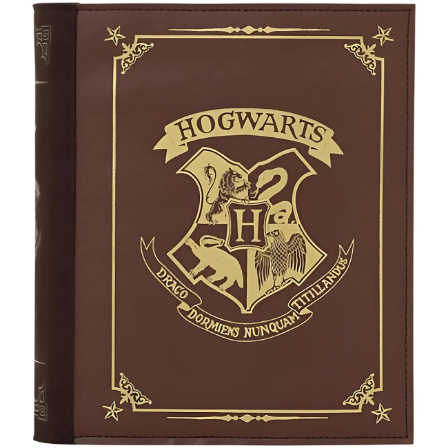 женская сумка Гарри Поттер