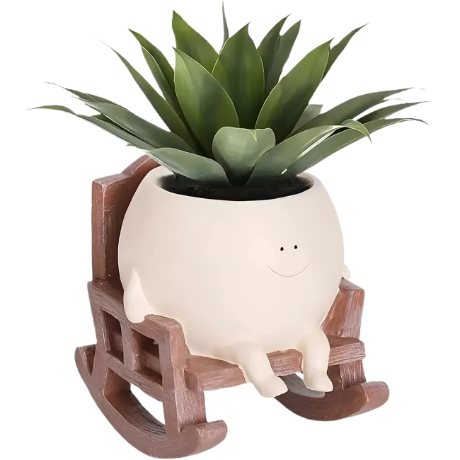 кашпо для домашніх рослин