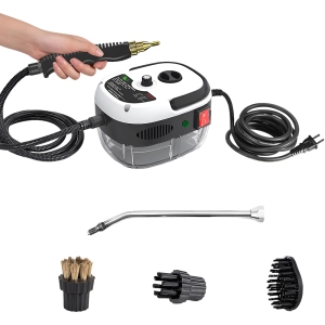 пароочищувач в дім