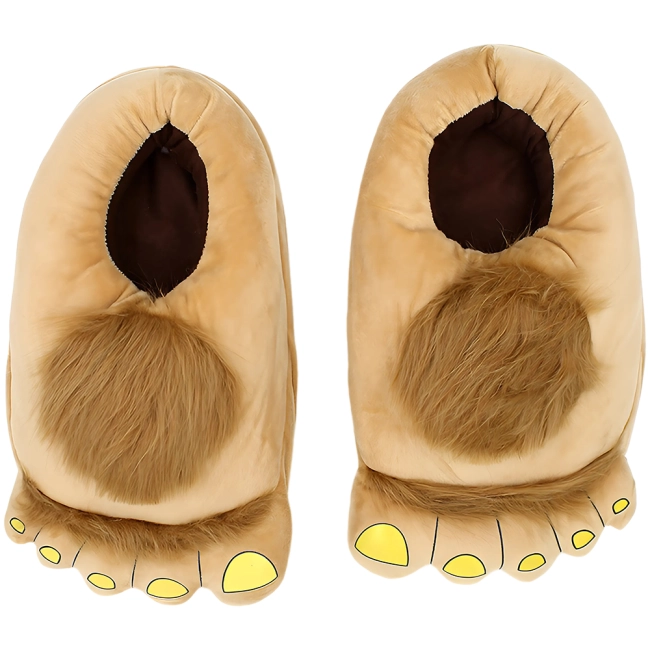 смішні домашні капці