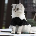 костюм для кішки з чепчиком