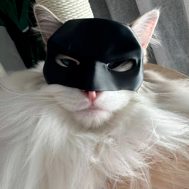 кошачья маска Бэтмен