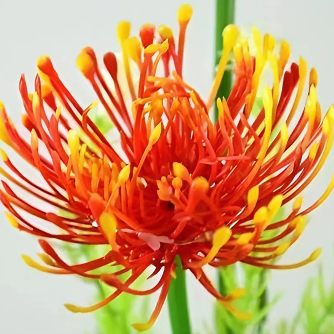 світлодіодна квітка для саду