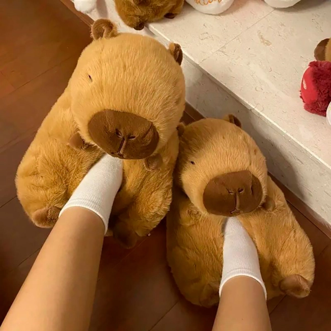 тапочки капибары