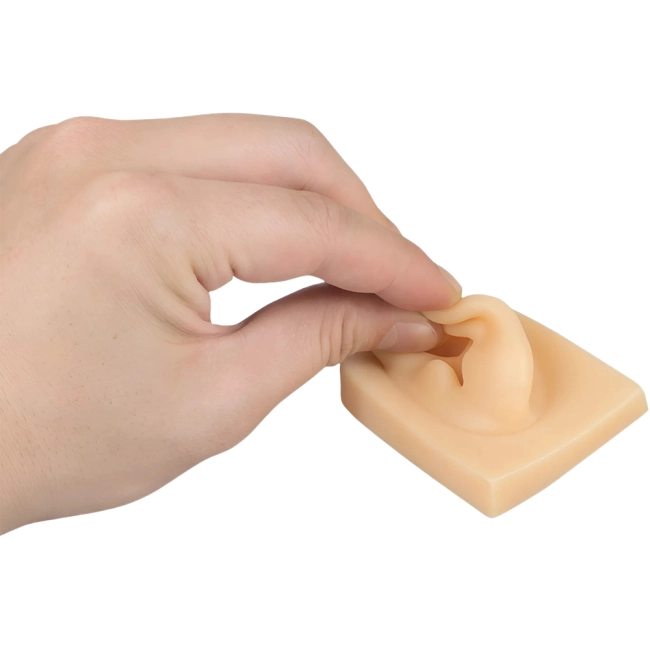 тренувальне вухо