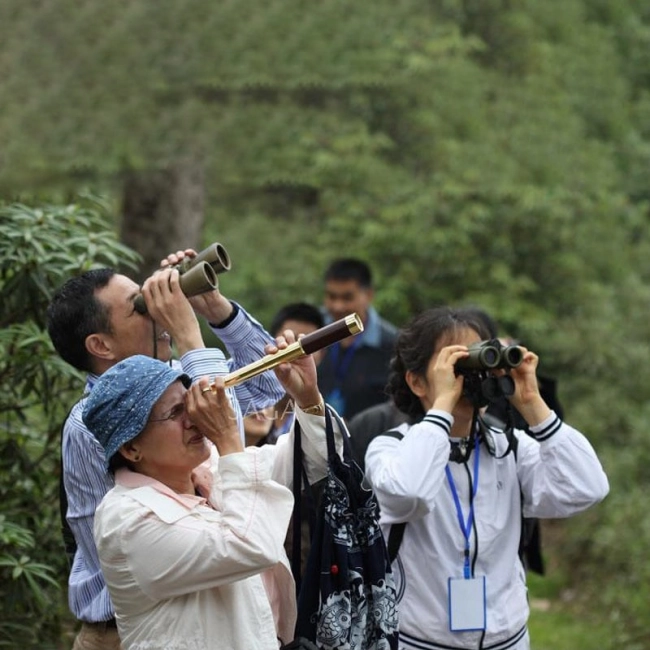 зрительная труба