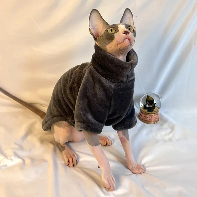 Теплая кофта для кота