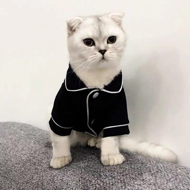 піжама для котів