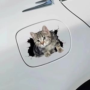 наклейка кота на машину