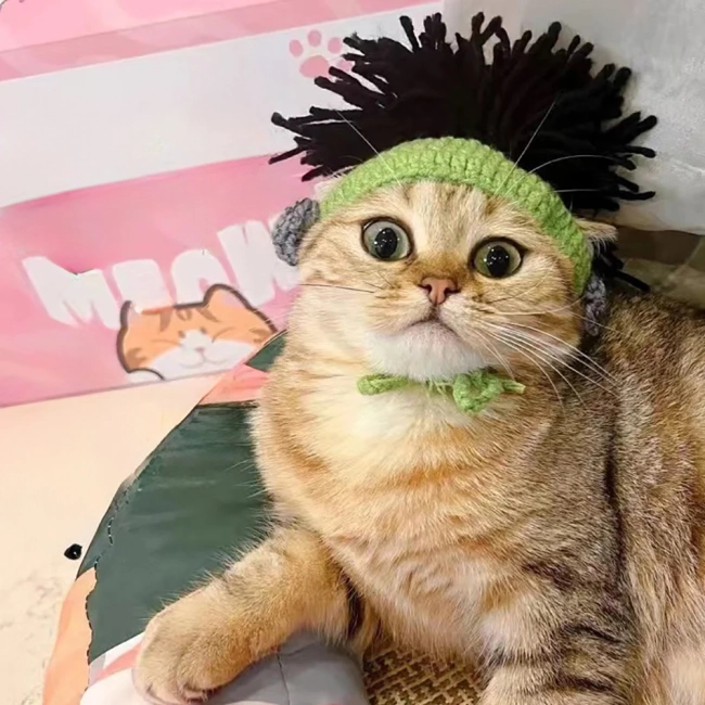 шапка для кота