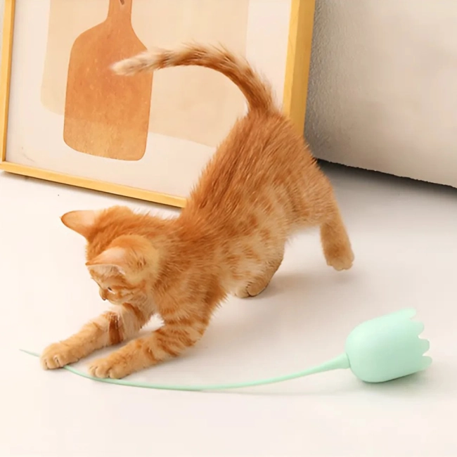 іграшка з хвостом для кота