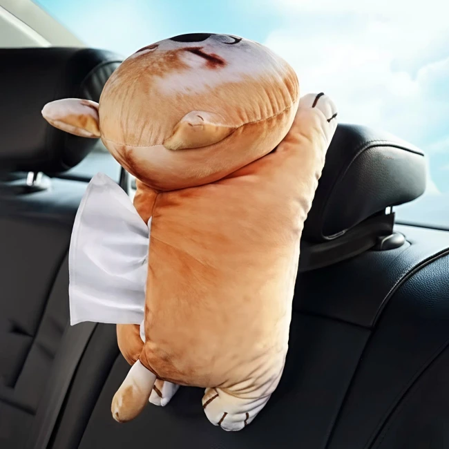 органайзер в автомобиль для салфеток