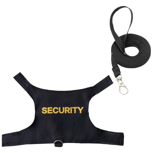 поводок для ящерицы