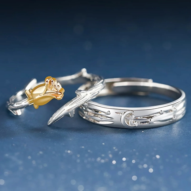 каблучки з маленьким принцом