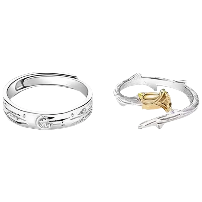 каблучки маленький принц і троянда