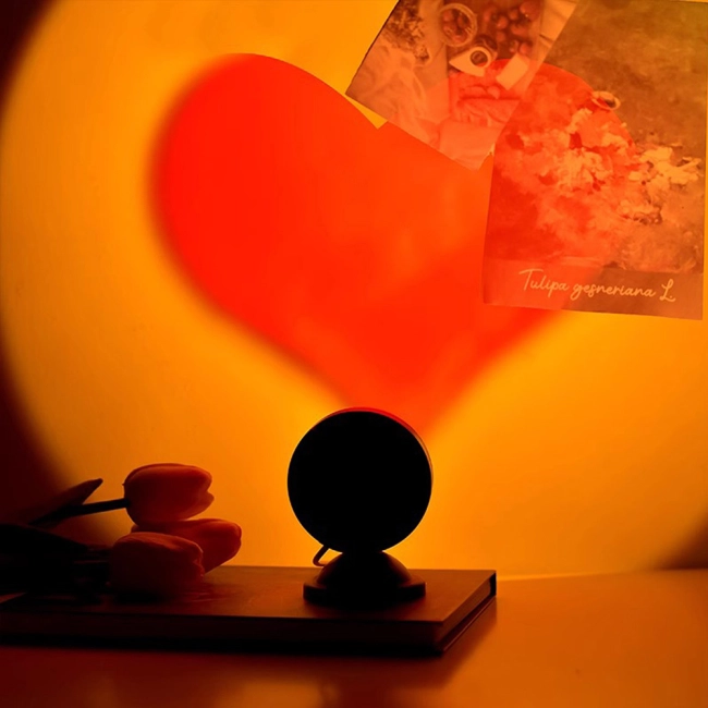 Π½ΠΎΡΠ½Π°Ρ Π»Π°ΠΌΠΏΠ° Ρ ΠΏΡΠΎΠ΅ΠΊΡΠΈΠ΅ΠΉ