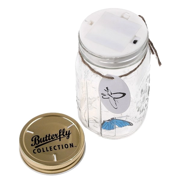 Вечная бабочка